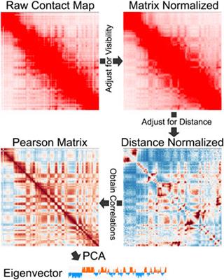 Considerations and caveats for analyzing chromatin compartments